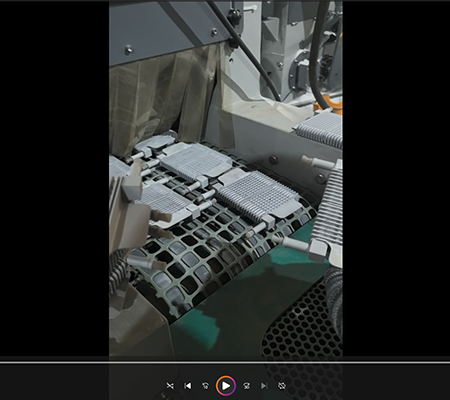 /kehu-anli/wujin-chuxiu/zhejiang-lvcai.html